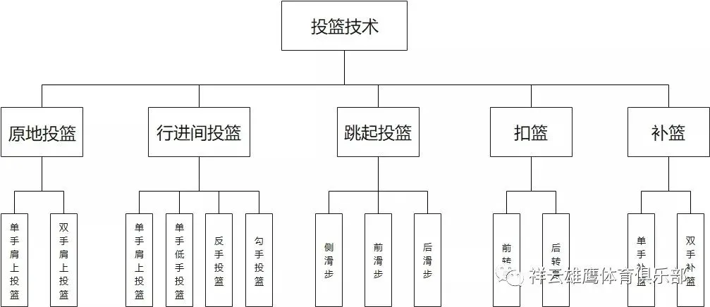 为什么篮球教练的经验对球员发展至关重要_1